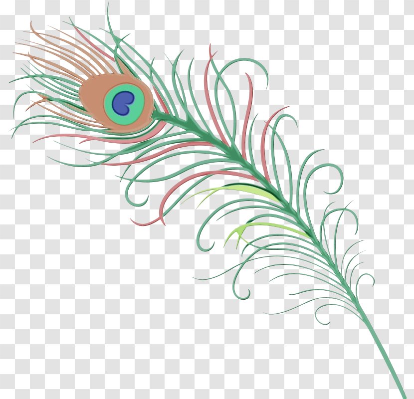 Peacock Drawing - Natural Material - Quill Transparent PNG