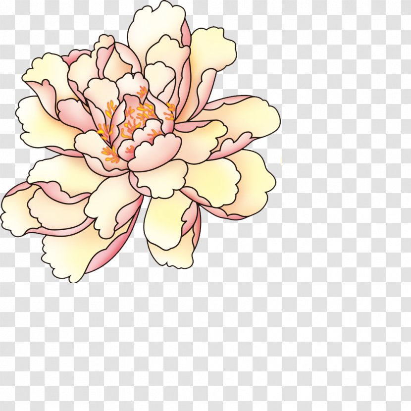 Moutan Peony Creative Work - Rose Family - Hand-painted Transparent PNG