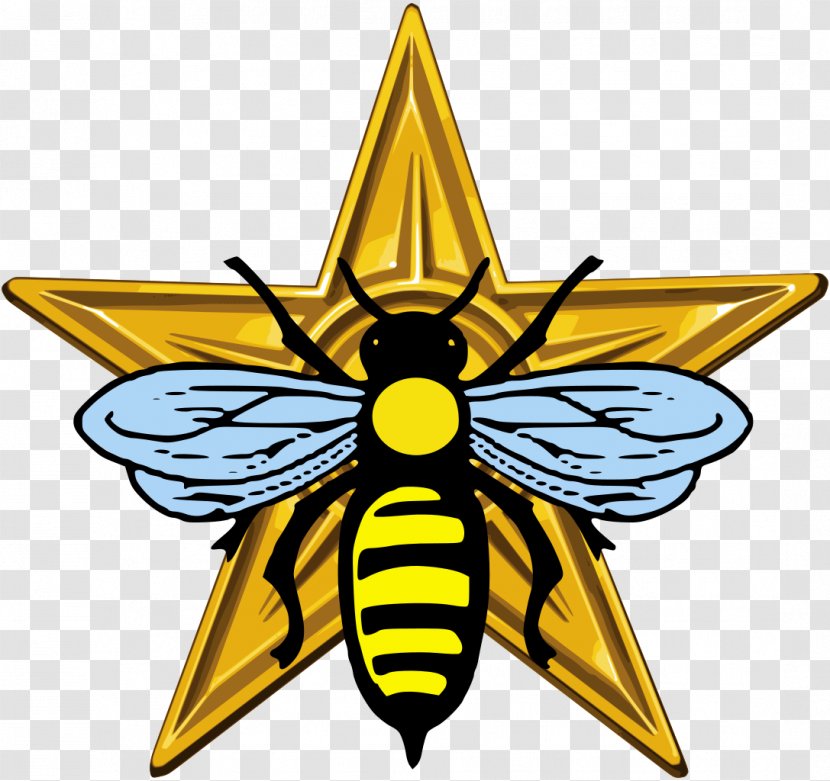 Bee Insect Wikimedia Commons Clip Art - Wikipedia Transparent PNG