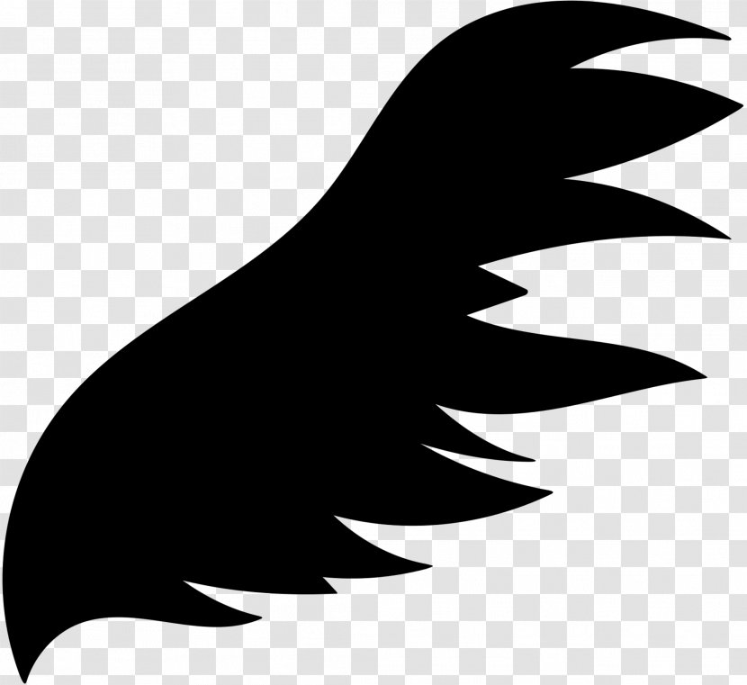 Beak Clip Art Black & White - Logo - M Marine Mammal Feather Transparent PNG