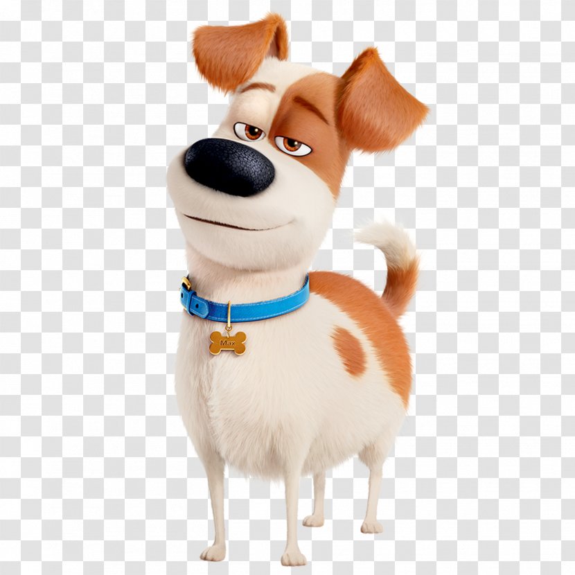 Max Universal Pictures Dog Pet Gidget - Snout Transparent PNG