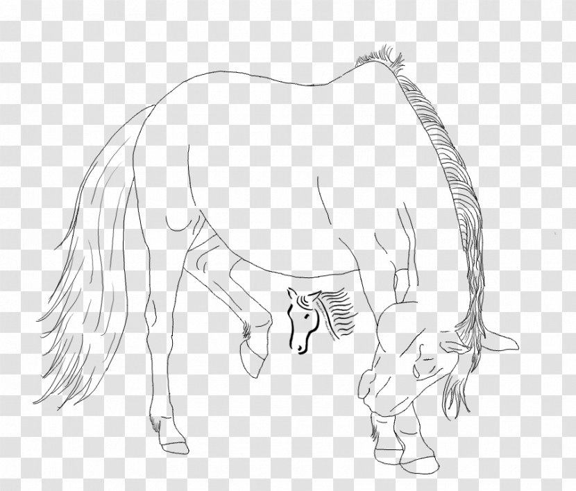 Mane Mustang Pack Animal Drawing Sketch - Horse Like Mammal Transparent PNG