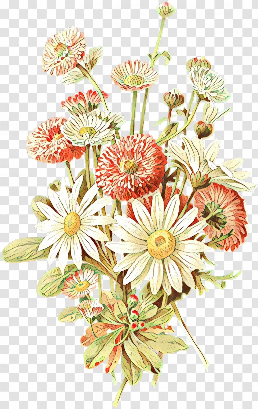 Bouquet Of Flowers Drawing - Gerbera - Daisy Family Aster Transparent PNG