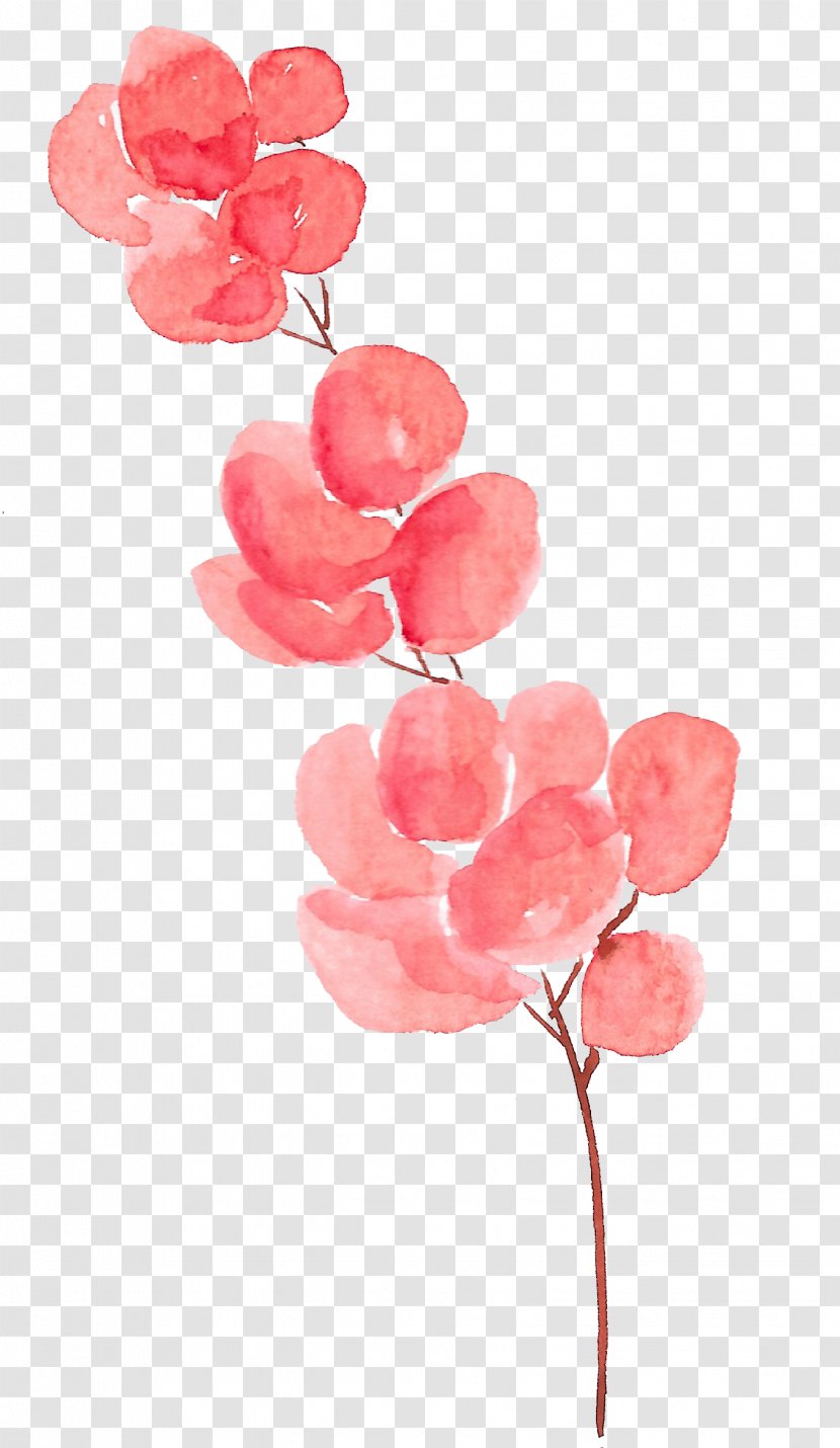 Petal Flower Watercolor Painting - Software - Flowers Transparent PNG