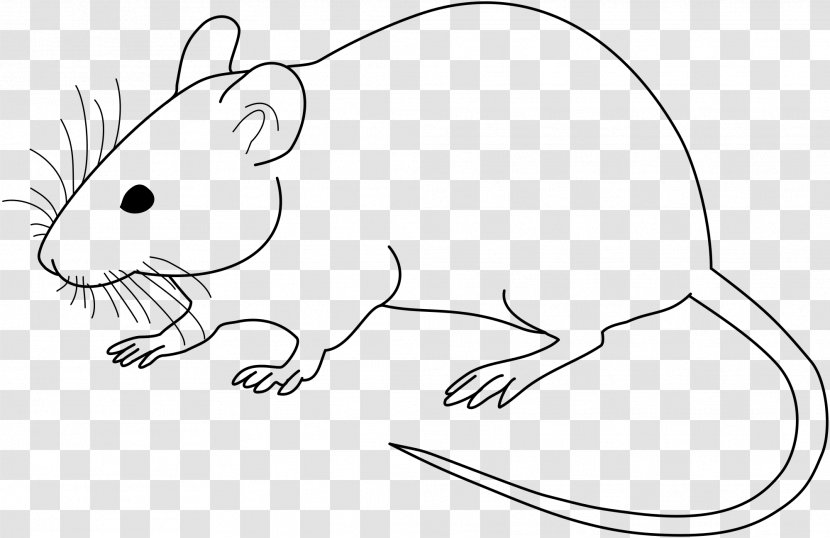 Laboratory Mouse Rat Drawing Clip Art - Trap Transparent PNG