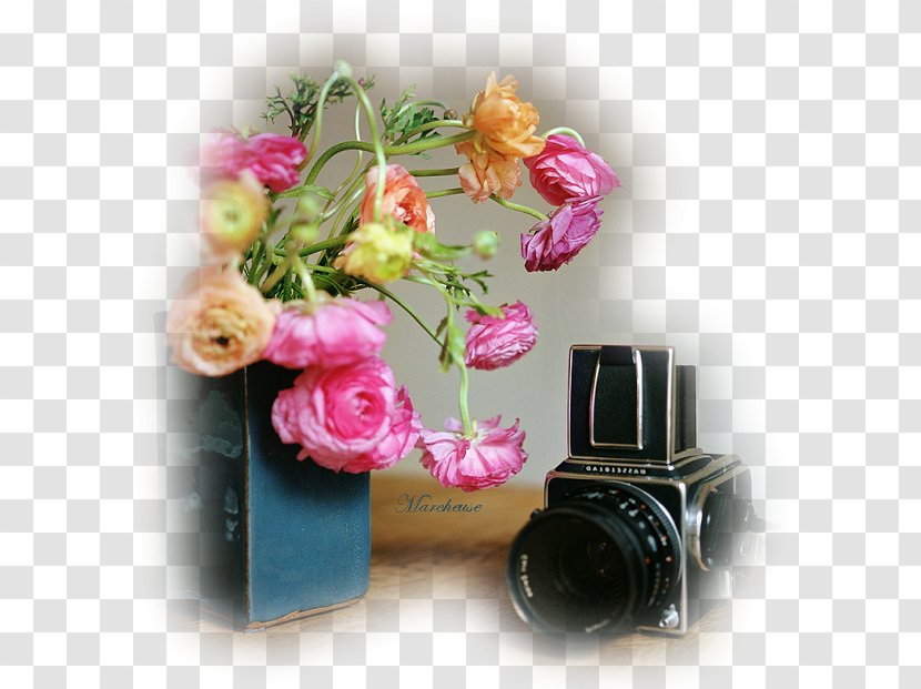 Flower Download Web Hosting Service Photography - Video Transparent PNG