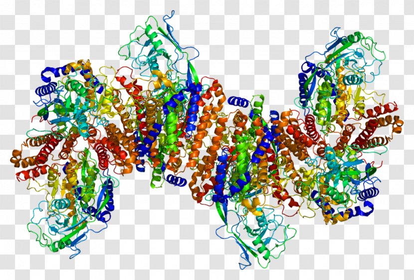 Transferrin Receptor 1 Protein 2 - Iron Transparent PNG
