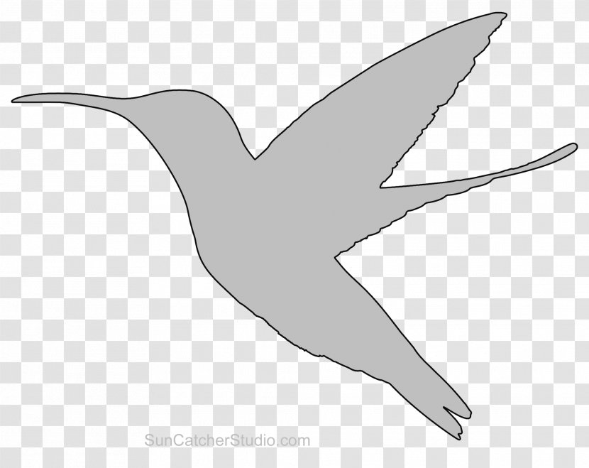 Duck Wader Beak Seabird Feather Transparent PNG