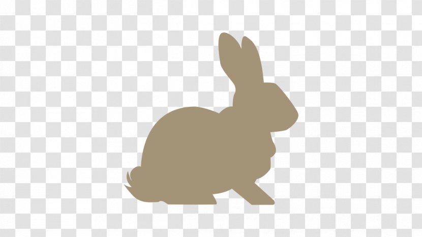 Domestic Rabbit Hare Mini Rex Clip Art - Pet Transparent PNG