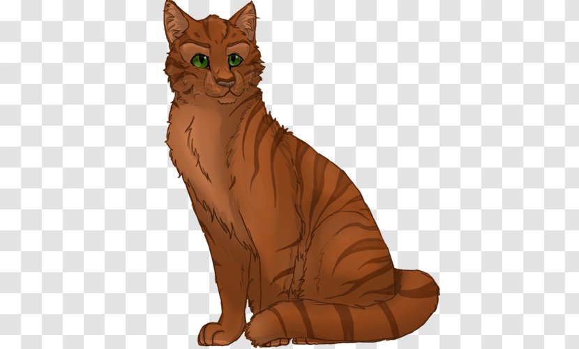 Kitten Whiskers SkyClan's Destiny Domestic Short-haired Cat - Mammal Transparent PNG
