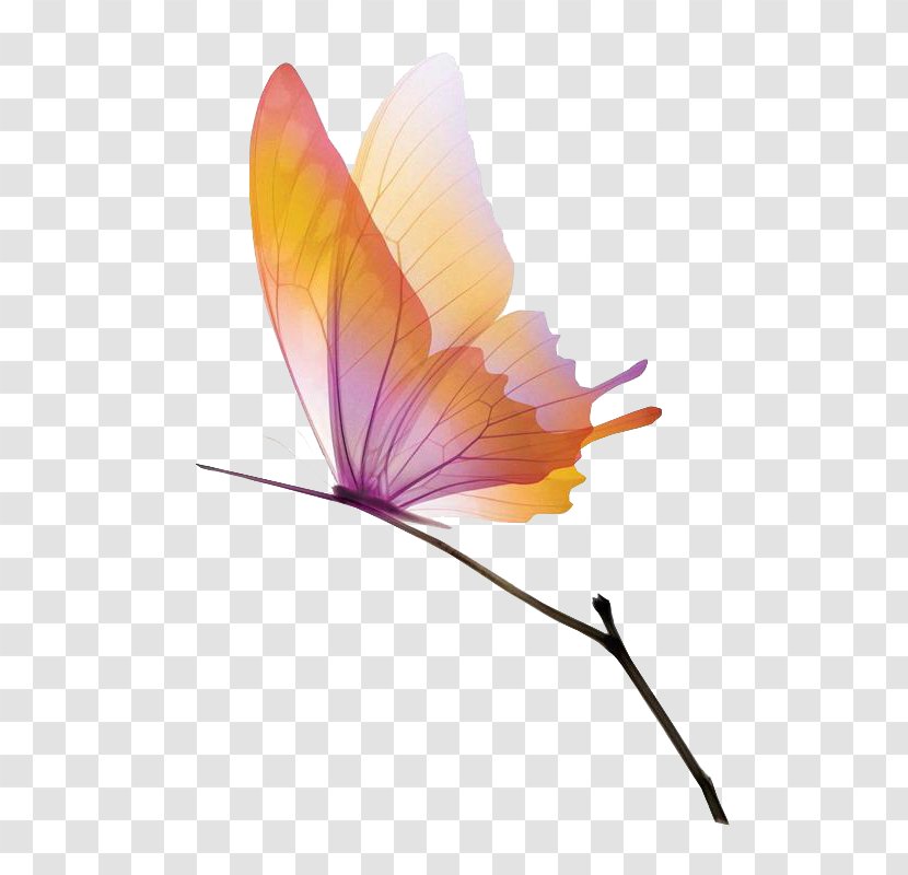 Butterfly Animation Gfycat Wallpaper - Giphy - On Branches Transparent PNG