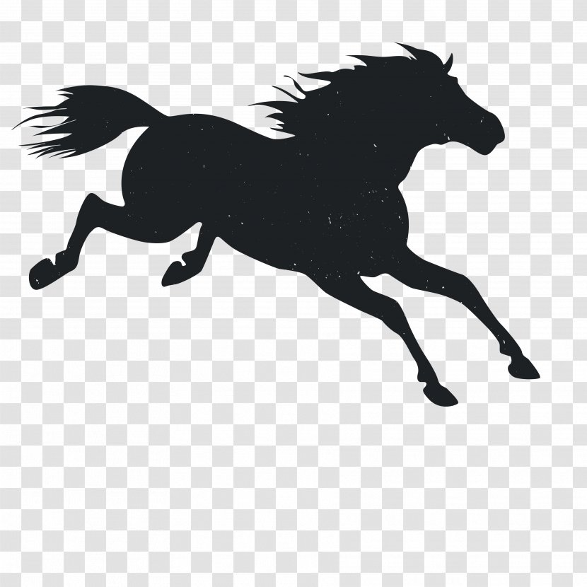 Mustang Pony Animal - Silhouettes Transparent PNG