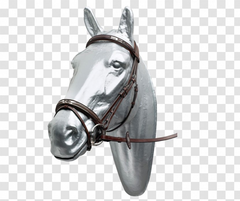 Horse Tack Bridle Filet Equestrian Transparent PNG