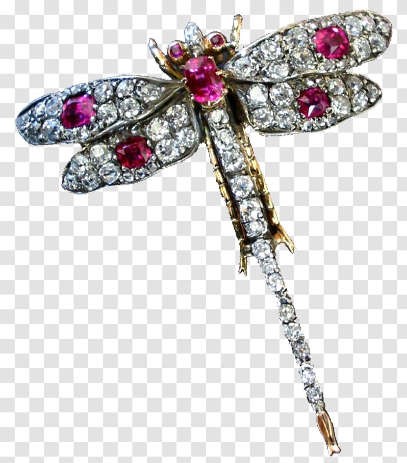 Insect Jewellery Brooch Clip Art - Moths And Butterflies - Dragonfly Jewelry Transparent PNG
