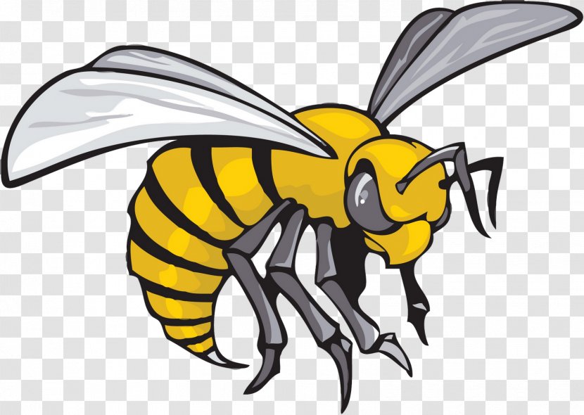 Alabama State University Hornets Men's Basketball Football Women's Grambling - Wasp Transparent PNG