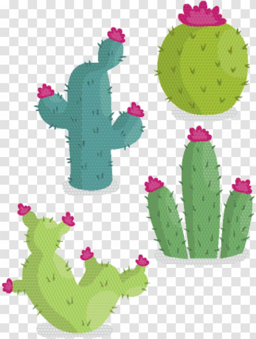 Cactus Cartoon - Flowerpot - Hedgehog Saguaro Transparent PNG