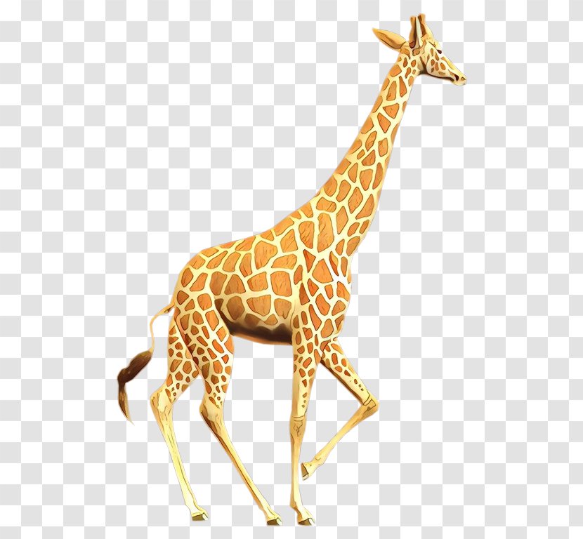 Giraffe Terrestrial Animal Fauna Neck Pattern - Action Toy Figures - Figure Transparent PNG