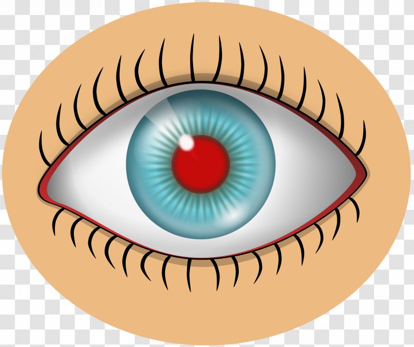Eye Color Iris Clip Art - Flower - Eyes Transparent PNG
