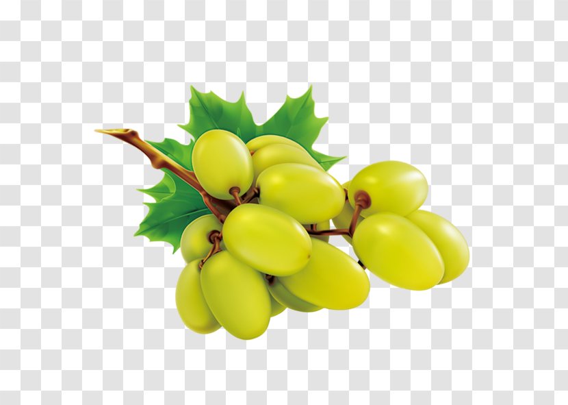 Grape Juice Fruit Food - Fresh Green Grapes Transparent PNG
