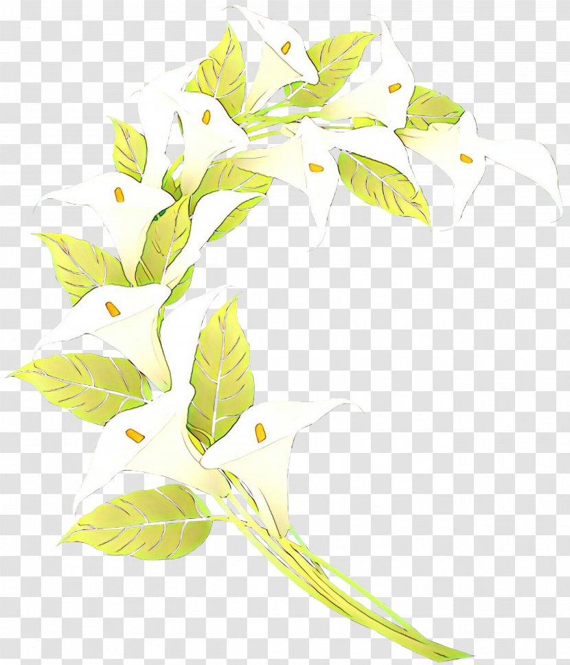 Floral Flower Background - Tree - Alismatales Pedicel Transparent PNG