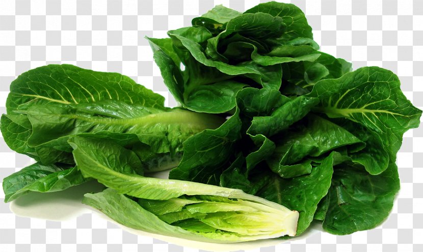 Spinach Salad Red Leaf Lettuce Romaine Vegetable Transparent PNG