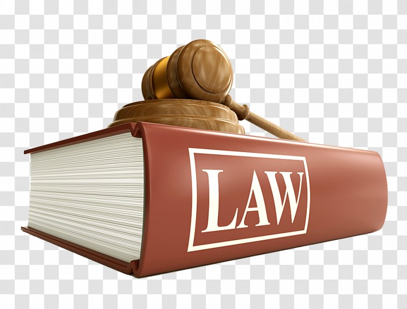 United States Lawyer Law Firm Criminal - State Transparent PNG