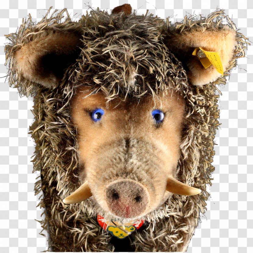 Cattle Animal Snout Mammal - Boar Transparent PNG