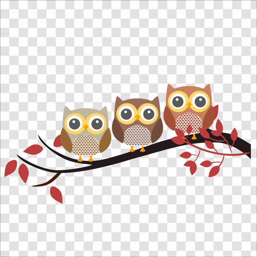 Little Owl Infant - School - Flat Transparent PNG