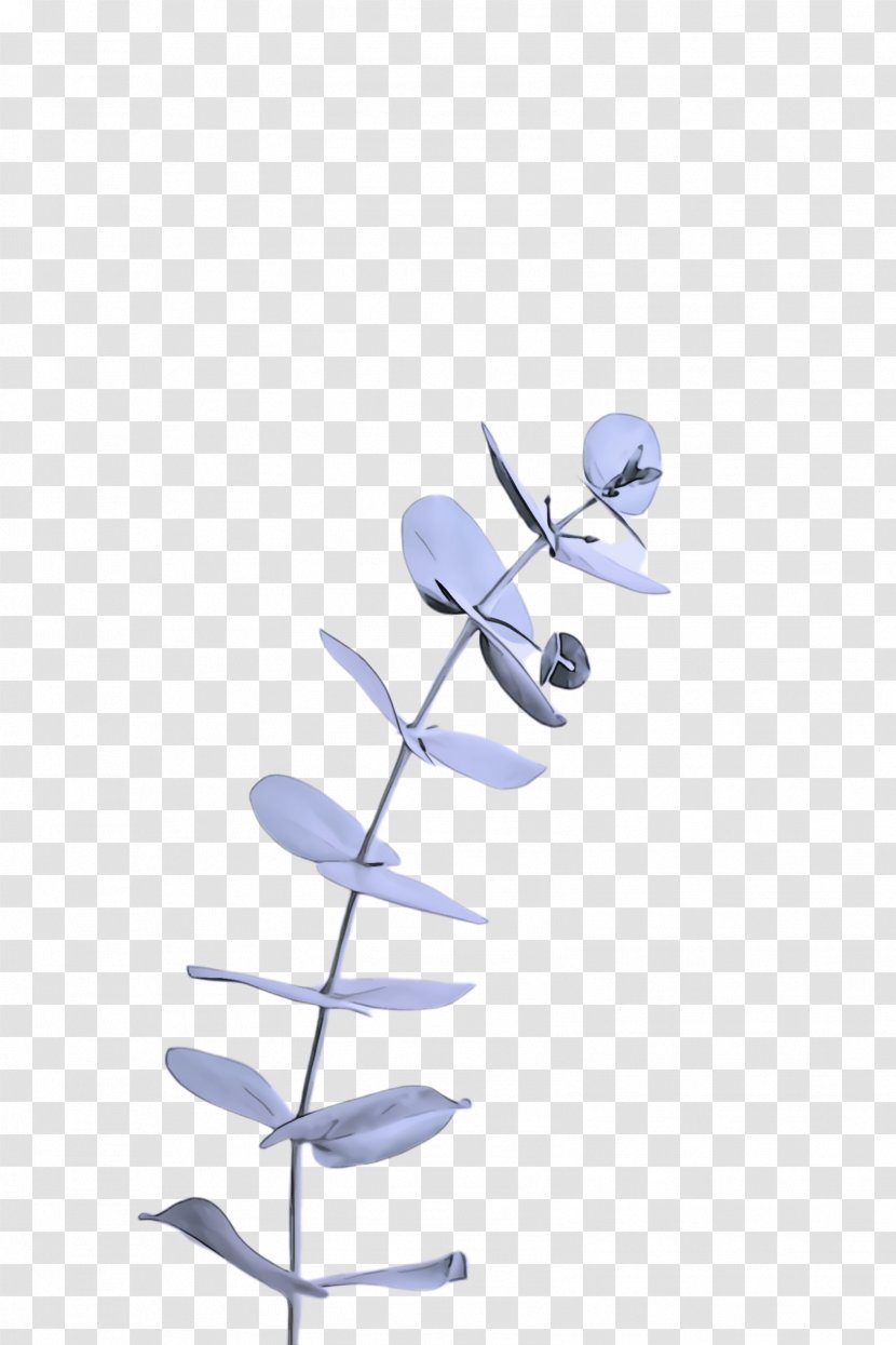 Blue Branch Leaf Plant Twig - Flower Transparent PNG