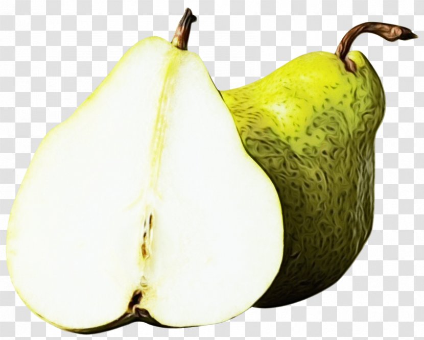 Banana Tree - Accessory Fruit Natural Foods Transparent PNG