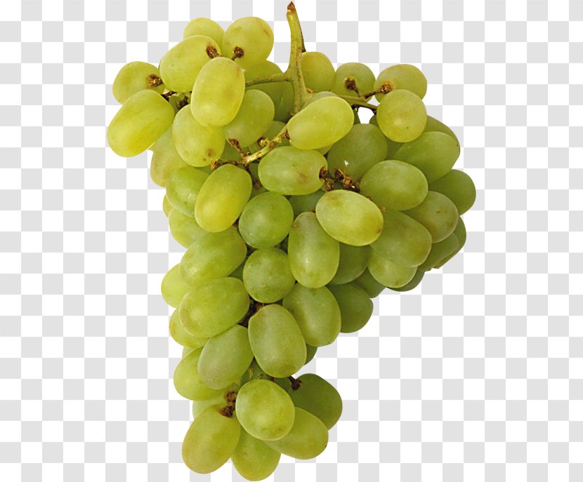 Wine Common Grape Vine Rosxe9 Raceme - Vector Grapes In Kind Transparent PNG