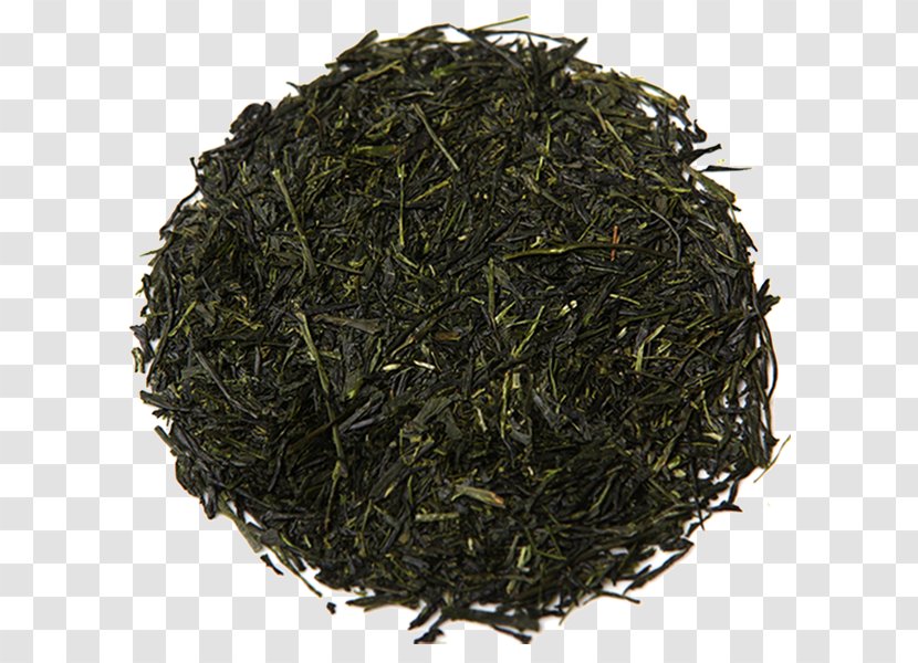 Gyokuro Sencha Oolong Darjeeling White Tea - Hojicha - Rich Yield Transparent PNG