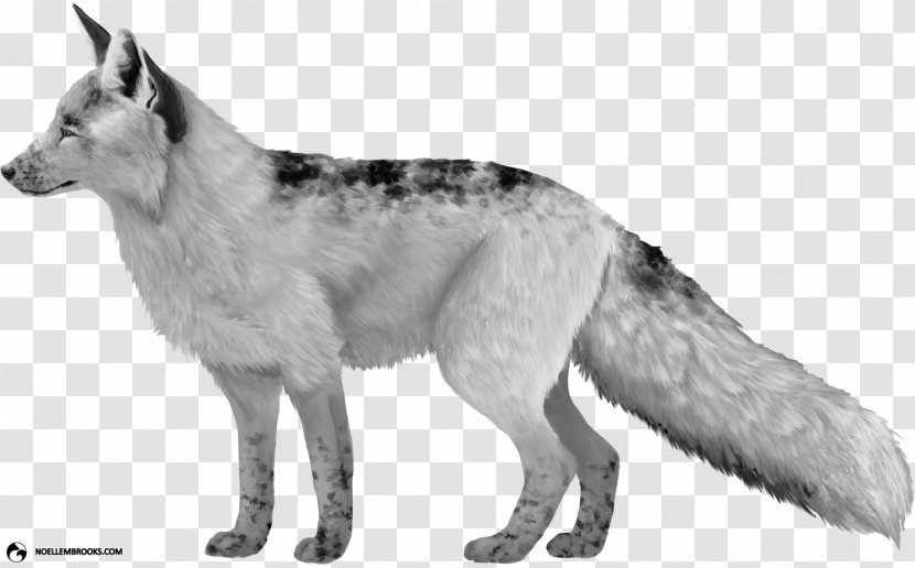 Czechoslovakian Wolfdog Saarloos Seppala Siberian Sleddog Domesticated Red Fox Transparent PNG