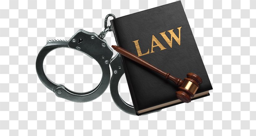 Lawyer Legal Aid Bankruptcy Criminal Law - Tool Transparent PNG