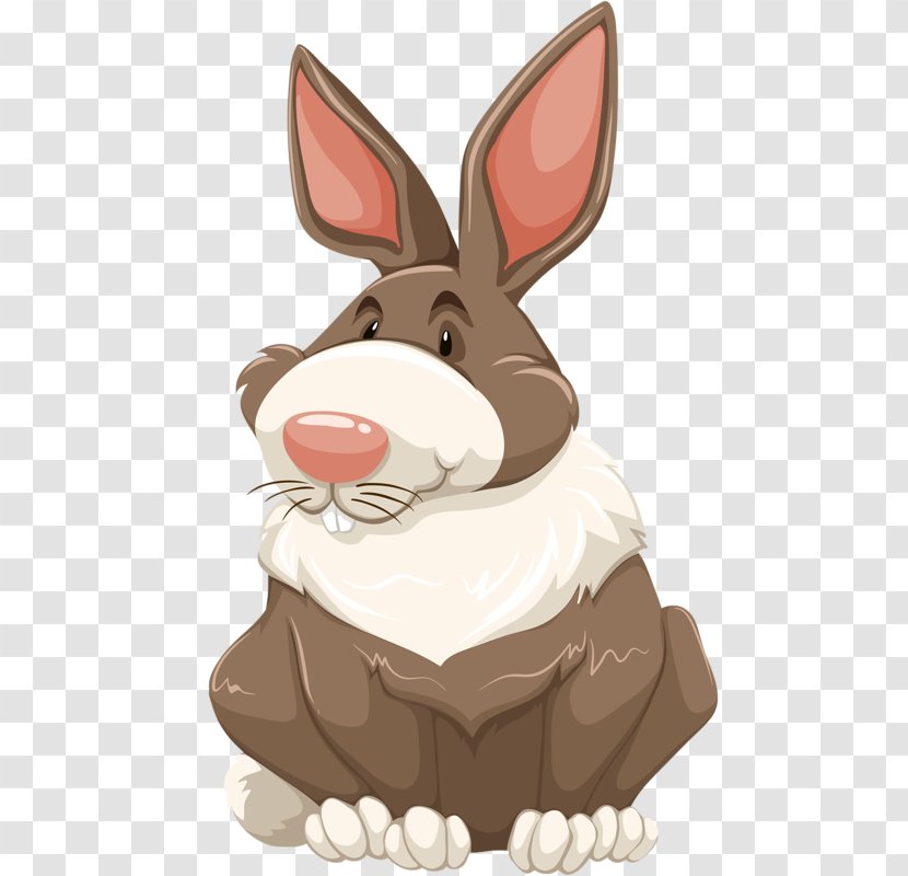 Royalty-free Drawing Clip Art - Snout - Cartoon Rabbit Transparent PNG