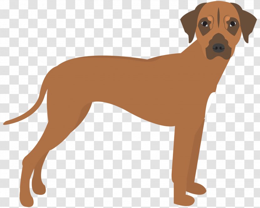 Cartoon Baby - Companion Dog - Hound Africanis Transparent PNG