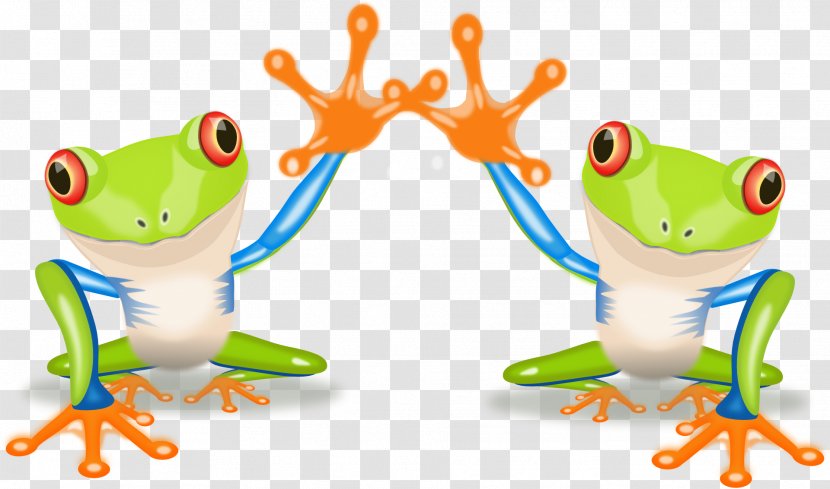 Red-eyed Tree Frog Australian Green Clip Art - Royaltyfree - Happy Transparent PNG