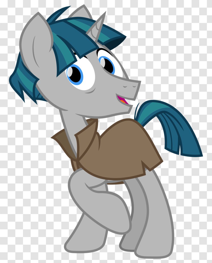 Rarity Twilight Sparkle Pony Horse Equestria - Cat Like Mammal - Cloak Transparent PNG