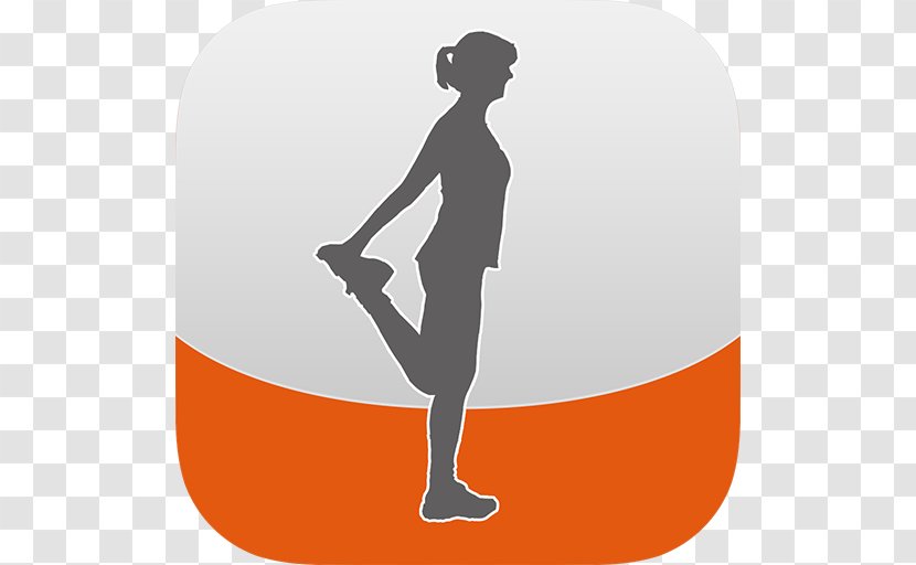 Pelvic Floor Pelvis Kegel Exercise Muscle Prolapse - Human Behavior - Icon Transparent PNG