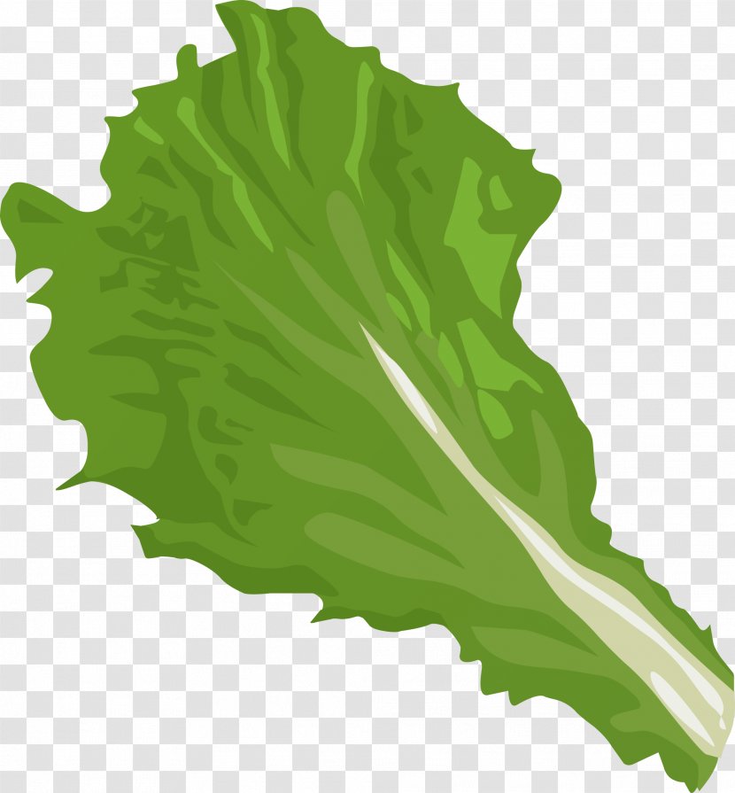 Iceberg Lettuce Hamburger Romaine Salad Clip Art - Green Leaves Transparent PNG