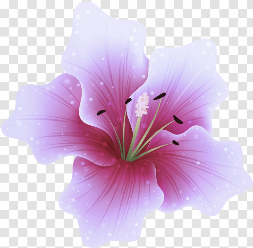 Petal Flower Pink Hibiscus Plant - Geraniaceae Mallow Family Transparent PNG