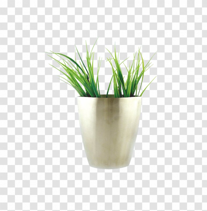 Vase - Grass - Home Decoration Transparent PNG