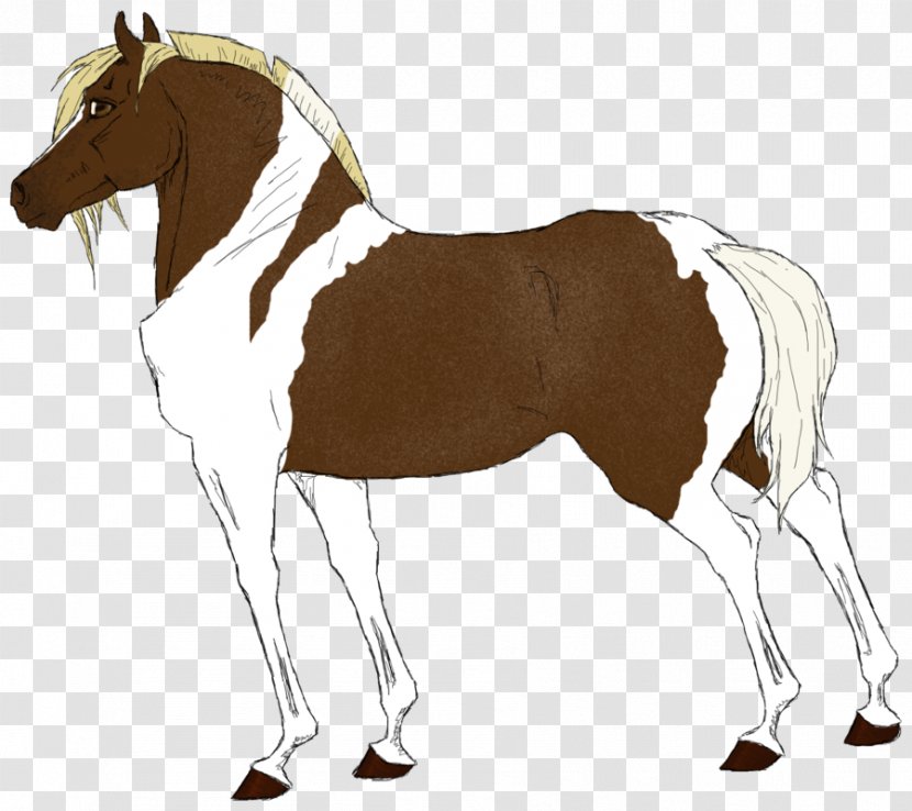 Foal Mane Stallion Mare Mustang - Dog Harness Transparent PNG