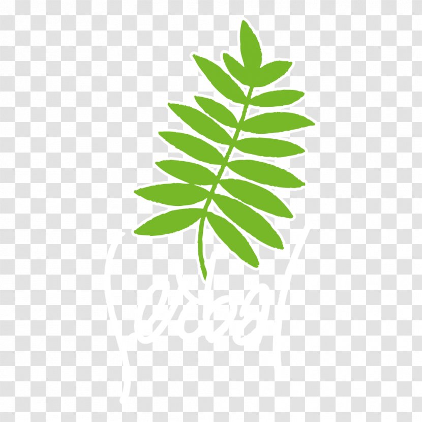 Natural Landscape Nature Logo - Design Transparent PNG