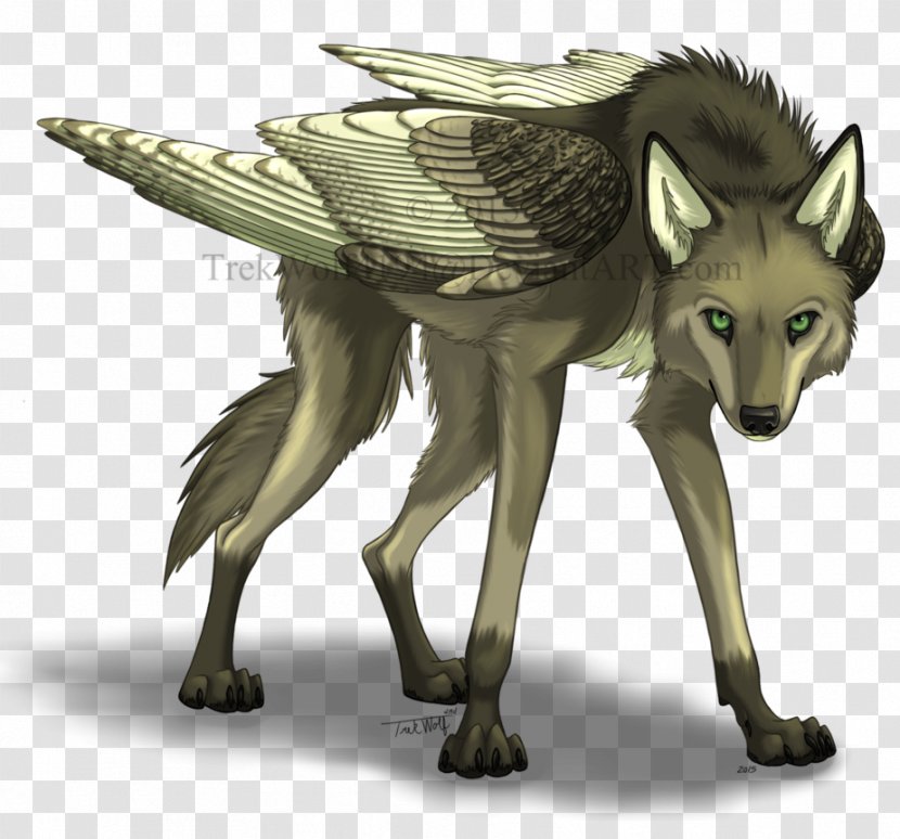 Gray Wolf Red Jackal Snout Wildlife - Express Little Brother Transparent PNG