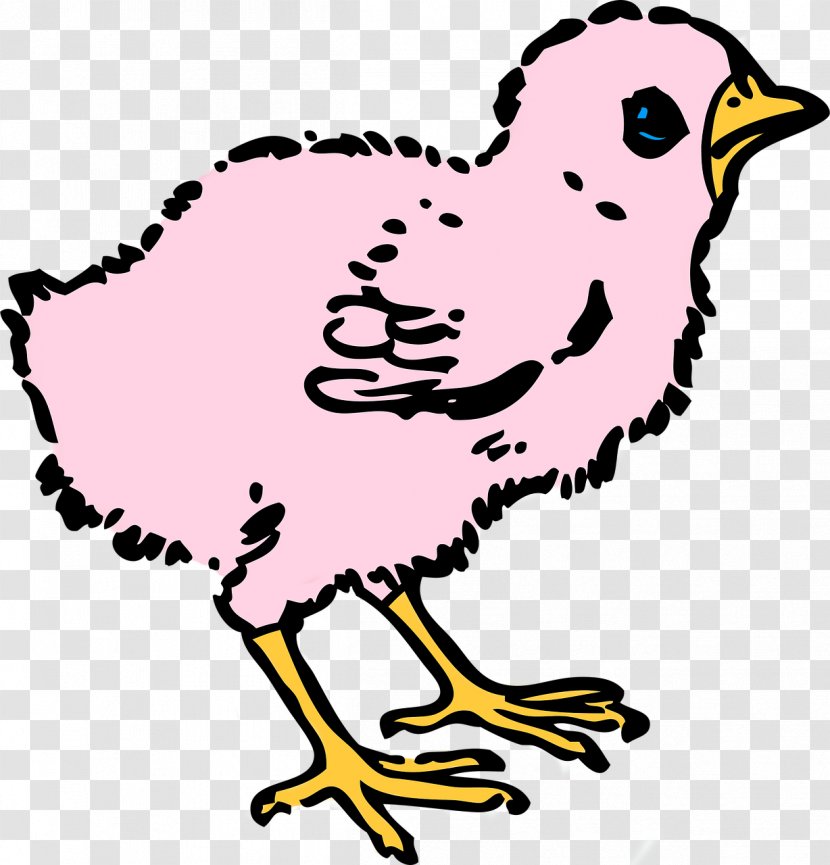 Chicken Clip Art - Bird - Chick Transparent PNG