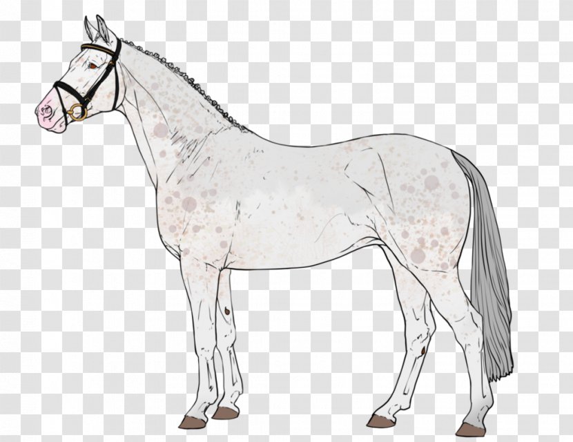 Mustang Pony Foal Stallion Bridle - Drawing Transparent PNG