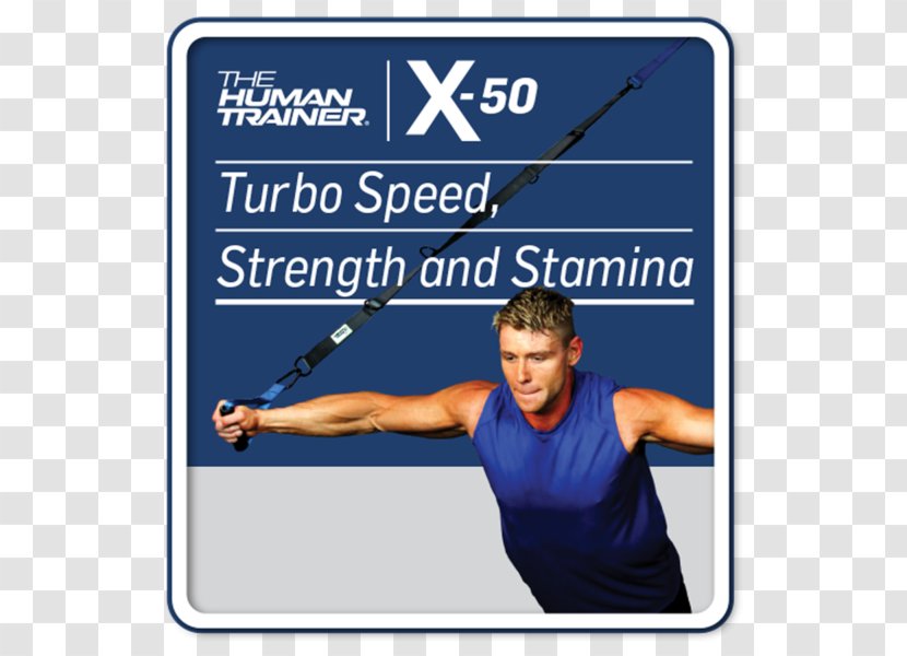 Physical Fitness Exercise Strength Training Personal Trainer Suspension - Centre - Area Transparent PNG