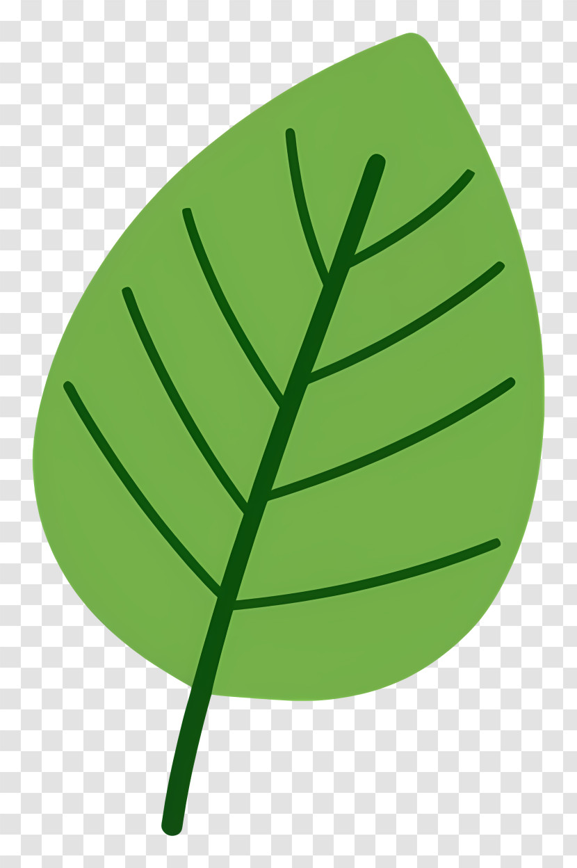 Green Leaf - Green Leaf Vector Illustration Transparent PNG