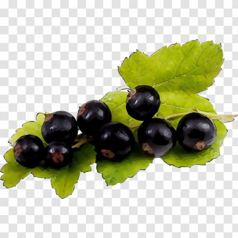 Gooseberry Zante Currant Blueberry Bilberry Huckleberry - Superfood - Leaf Transparent PNG